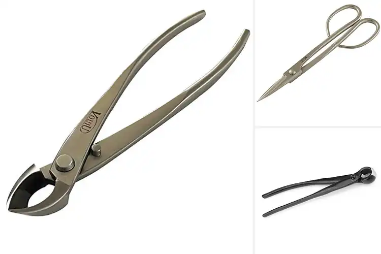 Detailed view of Best 8 Inch Bonsai Cutters