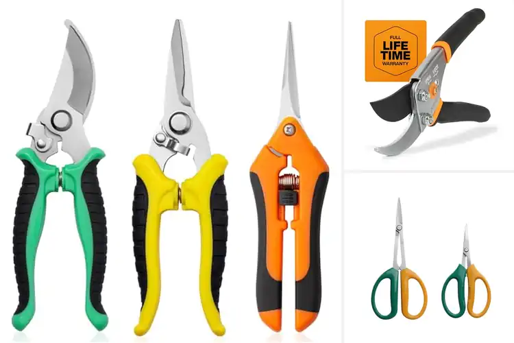 Detailed view of Best Anti Slip Pruning Scissors for Effortless Cutting