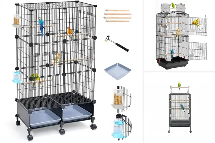 Detailed view of Best Bird Cages: Top 10 Picks for Happy, Healthy Birds