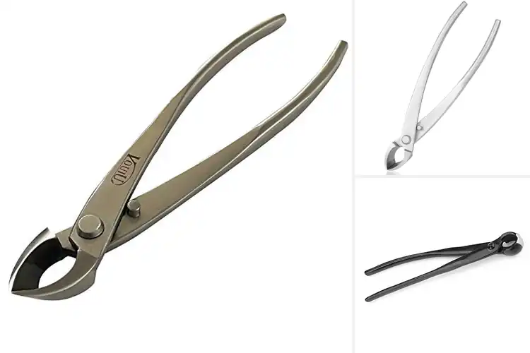 Detailed view of Best Bonsai Concave Cutter For Pruning