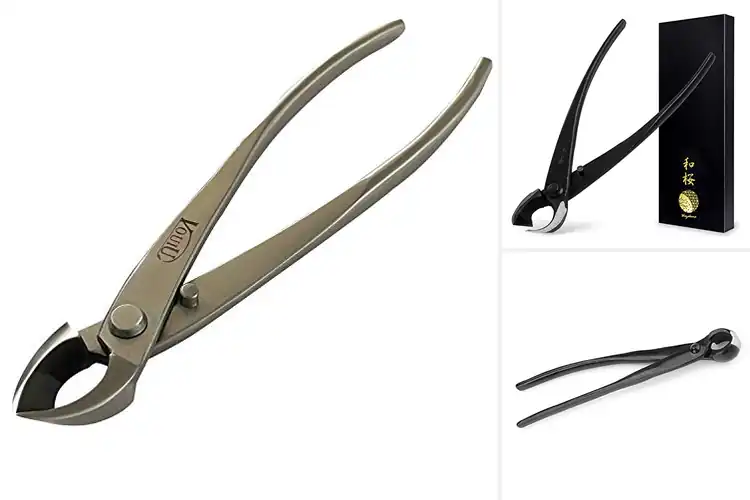 Detailed view of Best Bonsai Concave Cutter