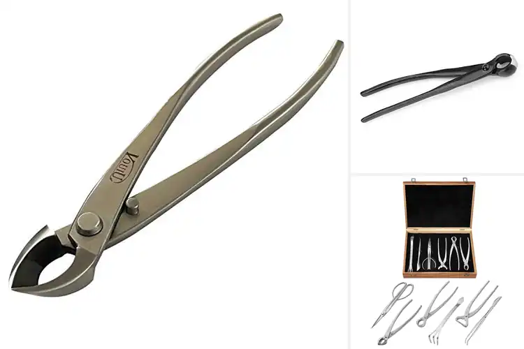 Detailed view of Best Bonsai Concave Cutters