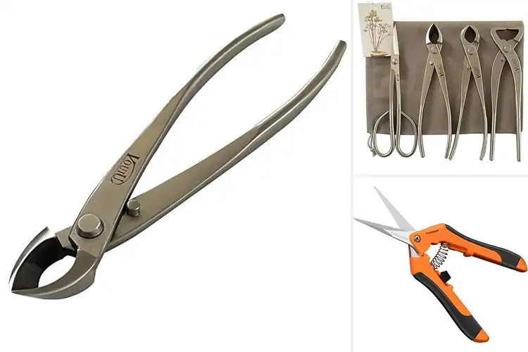 Detailed view of Best Bonsai Cutter: Top 10 Tools for Perfect Bonsai Care
