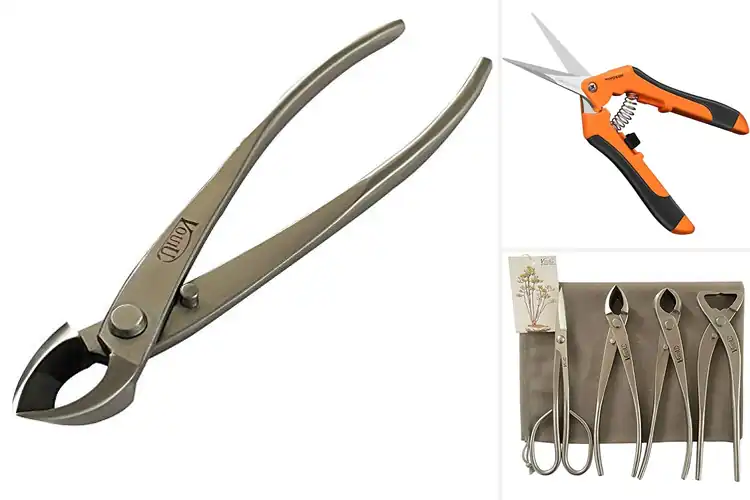 Detailed view of Best Bonsai Cutters