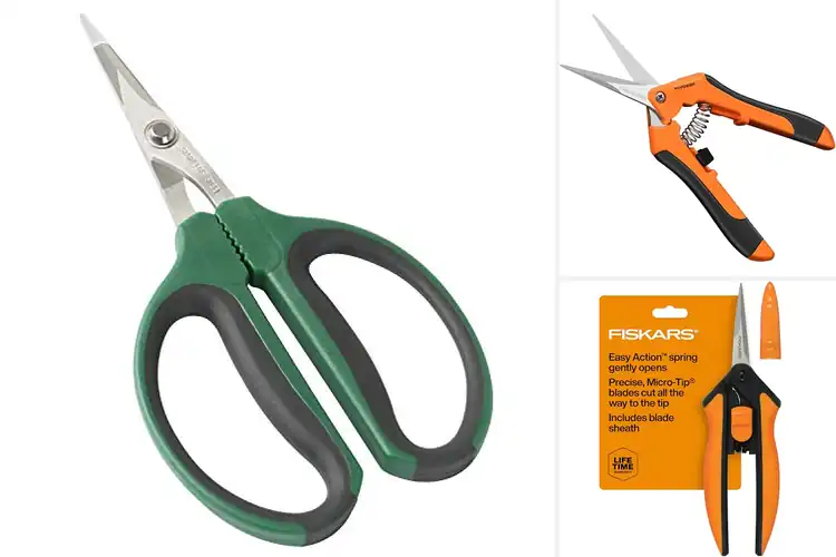 Detailed view of Best Bonsai Pruners