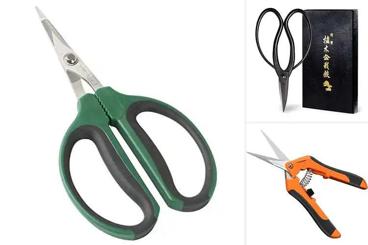 Detailed view of Best Bonsai Pruning Shears