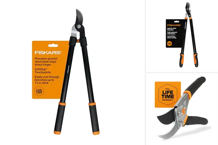 Detailed view of Best Branch Trimmers for Smooth, Easy Yard Work