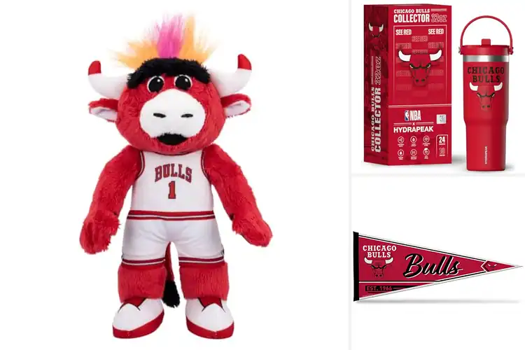 Detailed view of Best Chicago Bulls Collectibles: Unique Finds for Every Fan