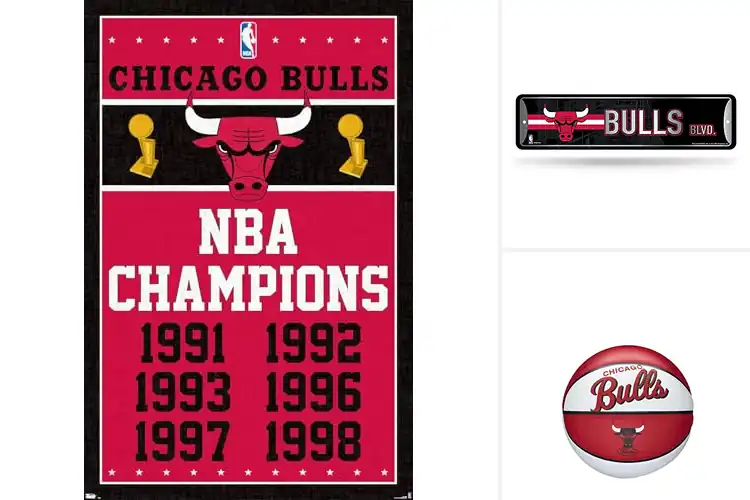 Detailed view of Best Chicago Bulls Memorabilias