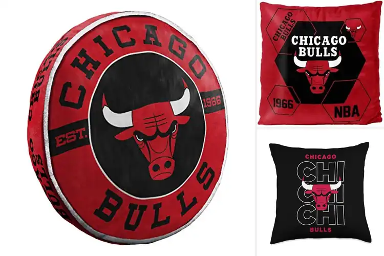 Detailed view of Best Chicago Bulls Pillows