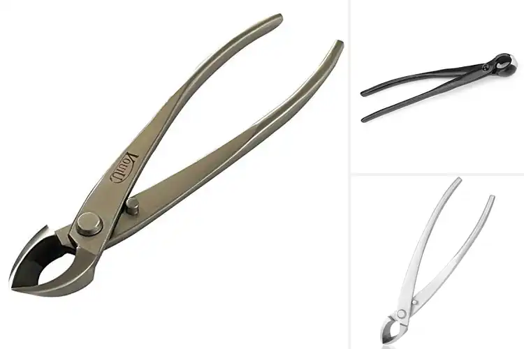 Detailed view of Best Concave Cutter: Top Picks for Flawless Bonsai Cuts