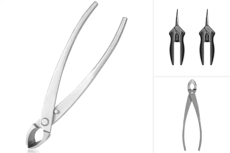 Detailed view of Best Concave Design Pruning Shears