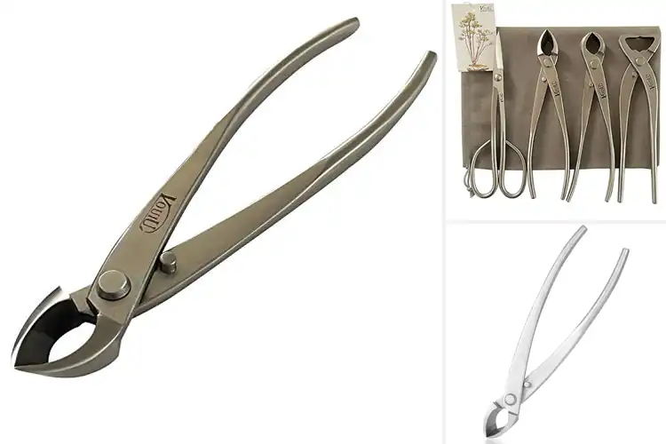 Detailed view of Best Concave Pruning Tools