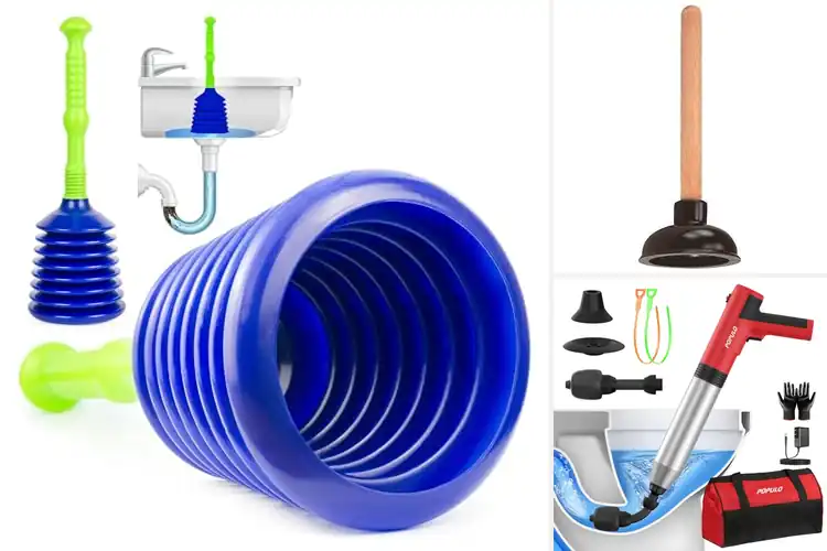 Detailed view of Best Drain Plungers