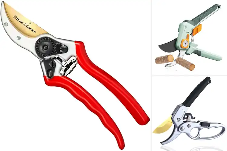 Detailed view of Best Easy To Use Pruner