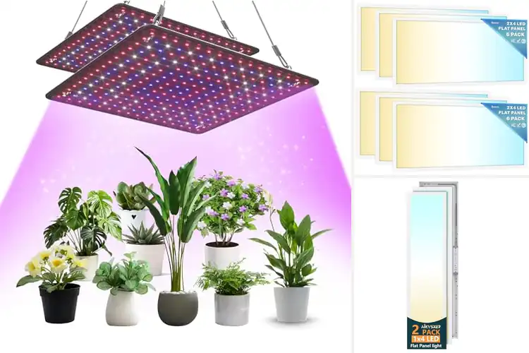 Detailed view of Best Energy-Efficient Panel Lights