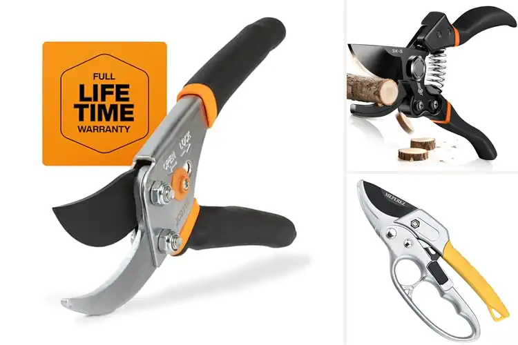 Detailed view of Best Ergonomic Pruning Shears