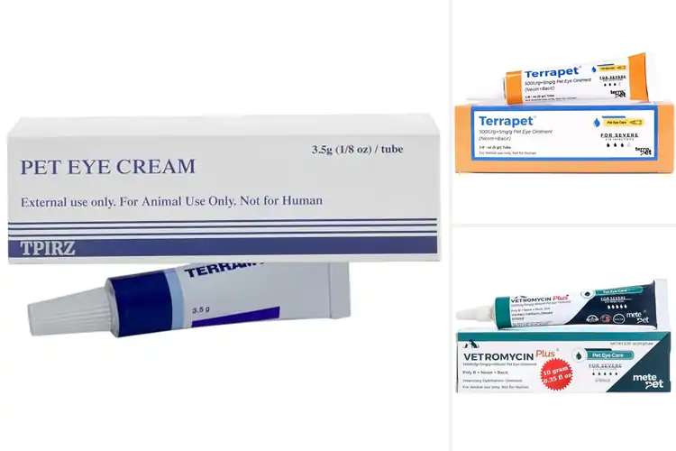 Detailed view of Best Eye Ointments For Birds: Top 10 Picks for Healthy Eyes