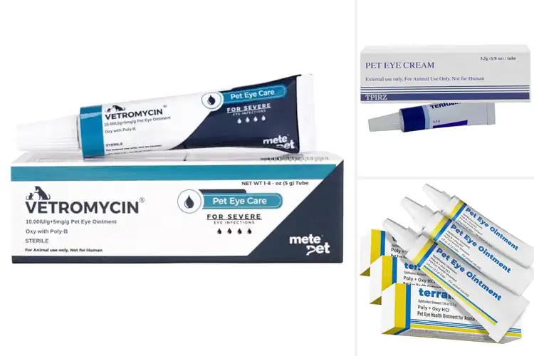 Detailed view of Best Eye Ointments For Cats: Top 10 Picks for Healthy Eyes