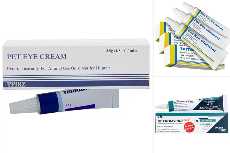 Detailed view of Best Eye Ointments For Cattle: Top 10 Picks for Healthy Eyes