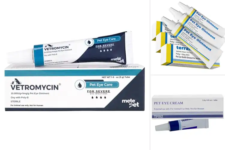 Detailed view of Best Eye Ointments For Dogs: Top 10 Picks for Healthy Eyes