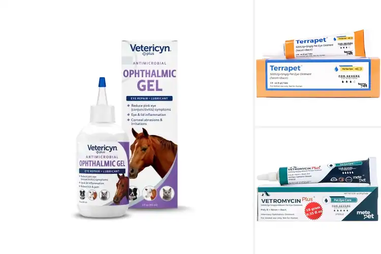Detailed view of Best Eye Ointments For Horses: Top 10 Safe & Effective Picks