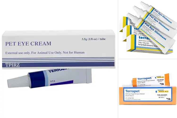 Detailed view of Best Eye Ointments For Sheep