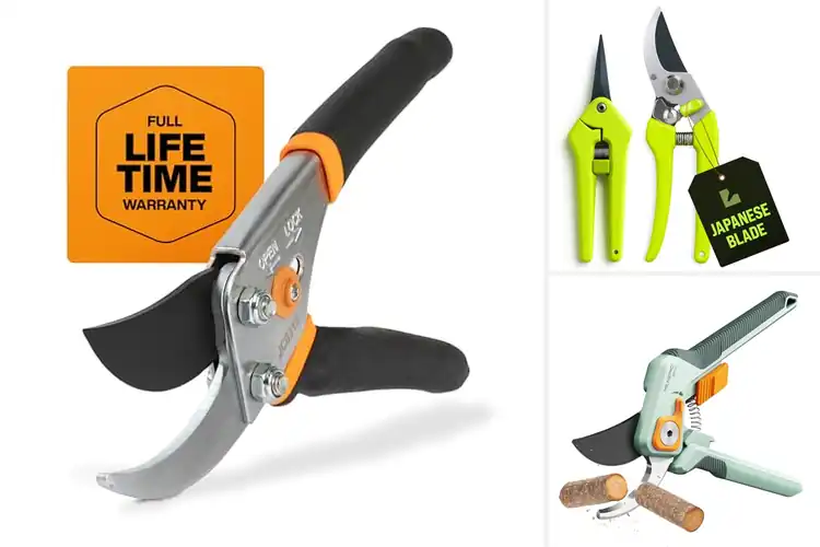 Detailed view of Best Flower Pruning Shears