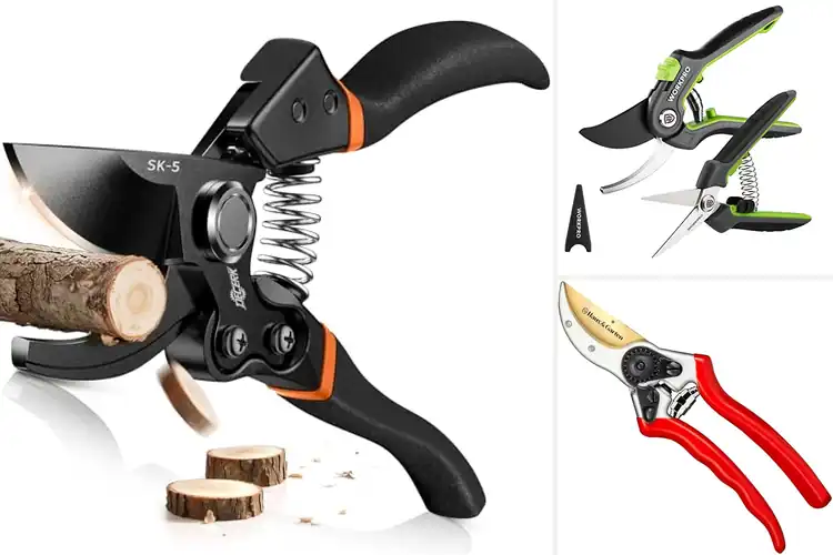 Detailed view of Best Garden Shears: Top 10 Picks for Effortless Gardening