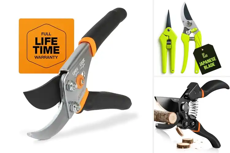 Detailed view of Best Gardening Pruners