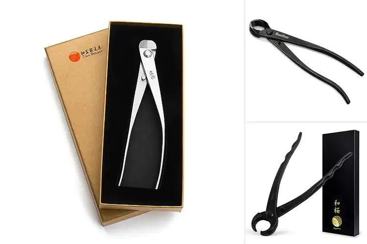 Detailed view of Best Hardened Steel Bonsai Cutter For Longevity
