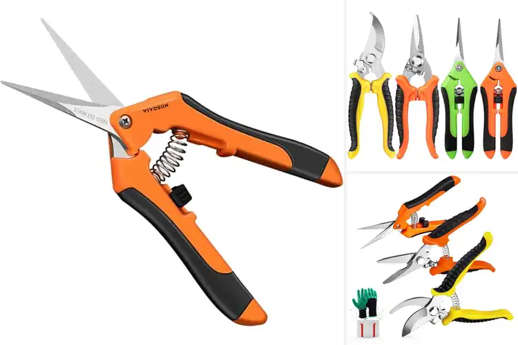 Detailed view of Best Horticulture Shears