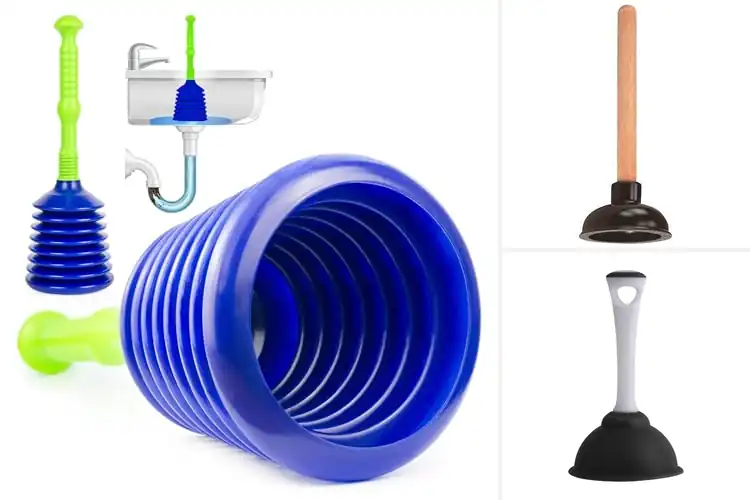 Detailed view of Best Kitchen Plungers