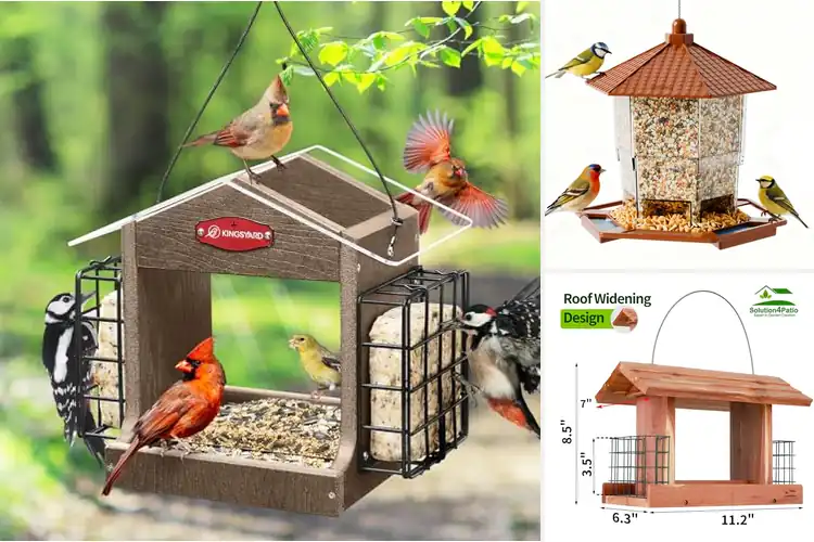 Detailed view of Best Outdoor Hoppers