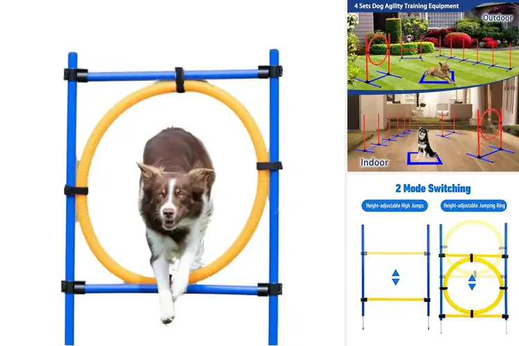 Detailed view of Best Pet Training Hoops: Top 10 Picks for Fun & Fitness