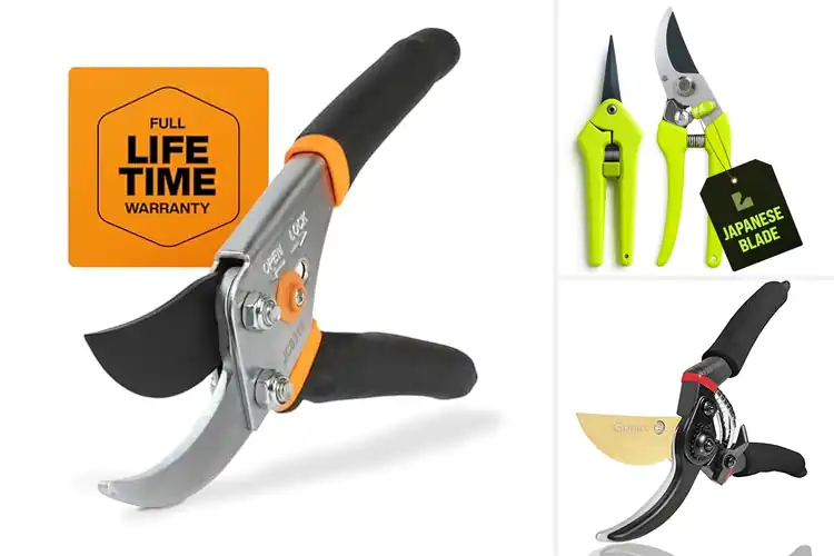 Detailed view of Best Pruning Shears
