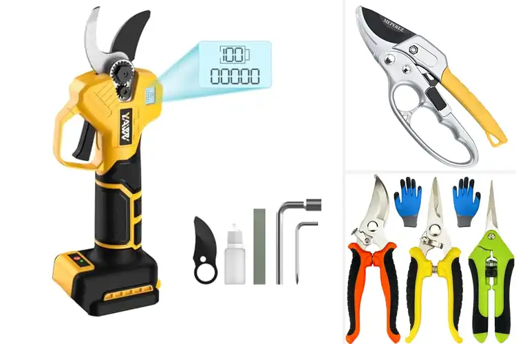 Detailed view of Best Pruning Tool