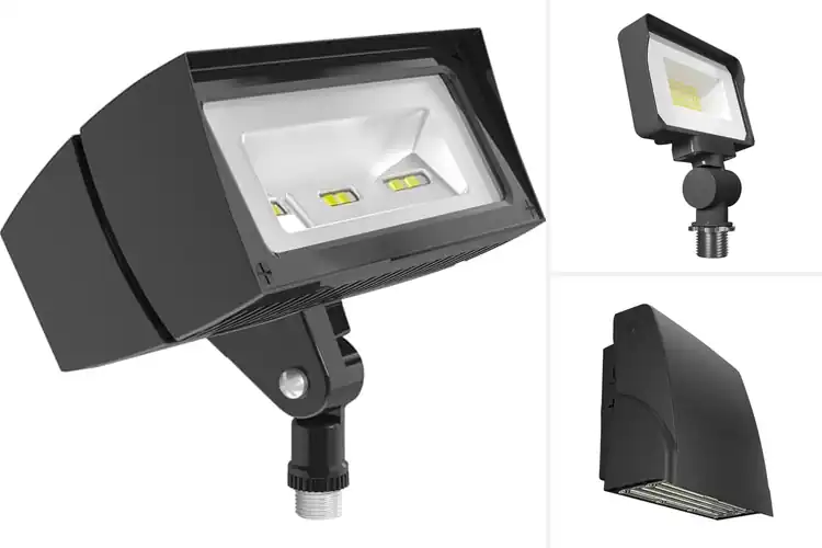 Detailed view of Best RAB Lighting Fixtures