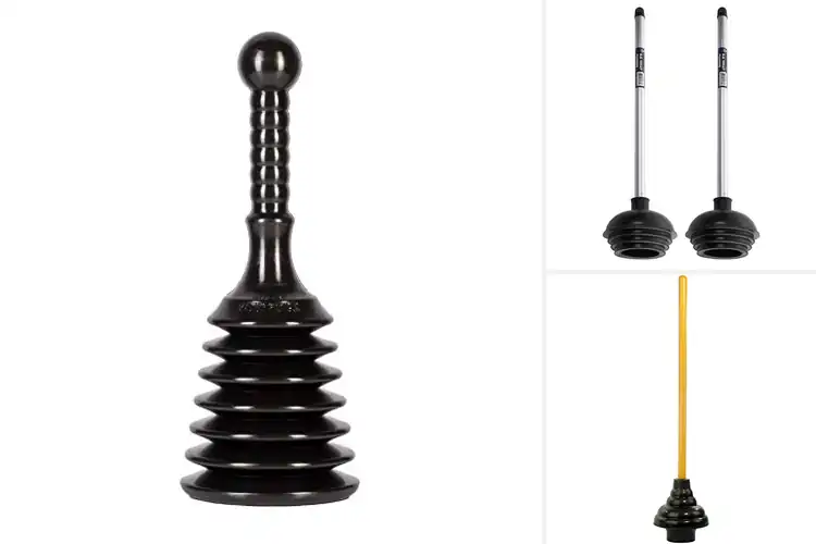 Detailed view of Best Residential Plungers