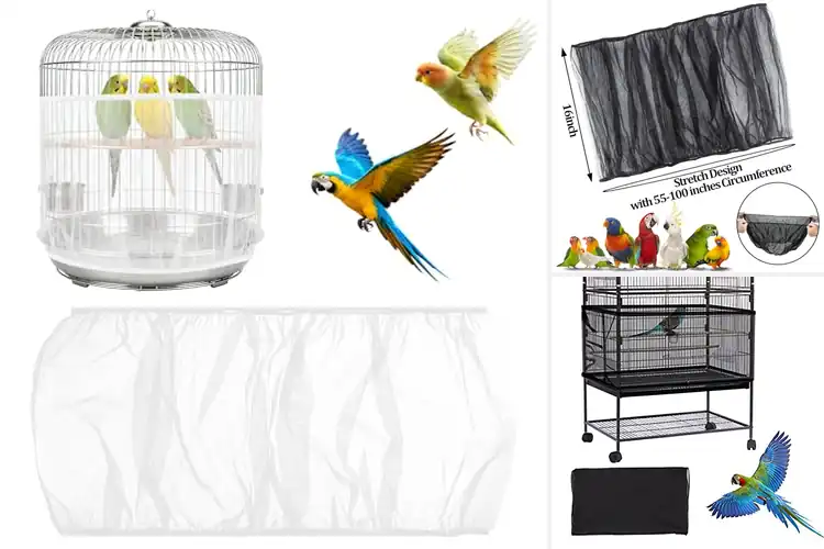 Detailed view of Best Round Cage Seed Catchers: Tidy Bird Haven