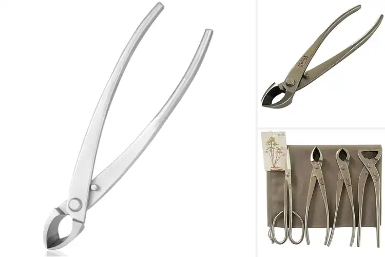 Detailed view of Best Stainless Steel Bonsai Cutter