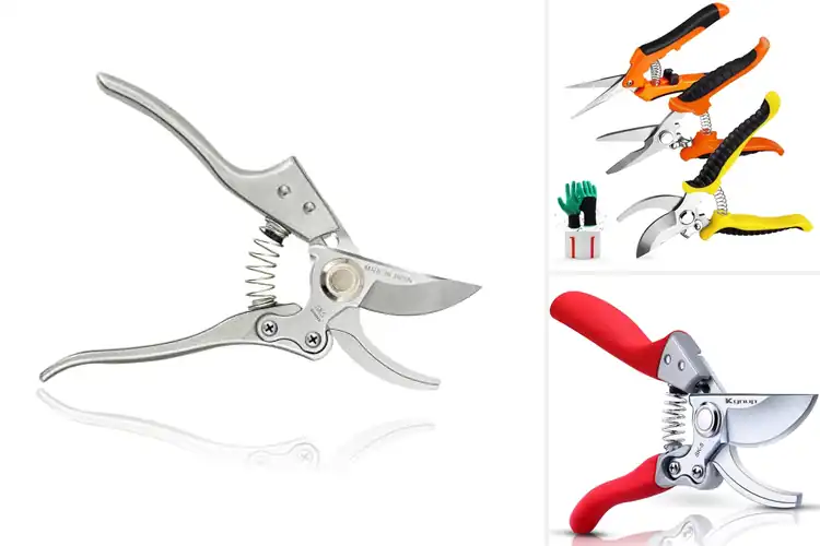 Detailed view of Best Stainless Steel Garden Pruners