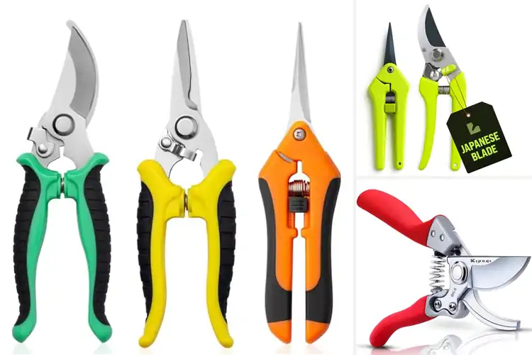 Detailed view of Best Stainless Steel Garden Shears