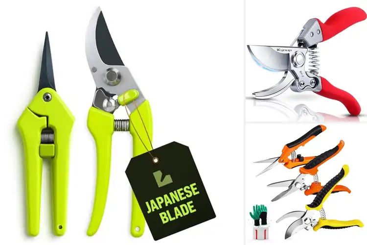 Detailed view of Best Stainless Steel Pruners for Effortless Cutting