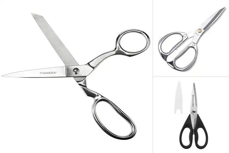 Detailed view of Best Stainless Steel Scissors