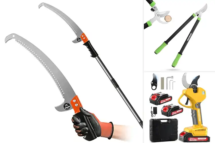 Detailed view of Best Tree Branch Cutting Tool