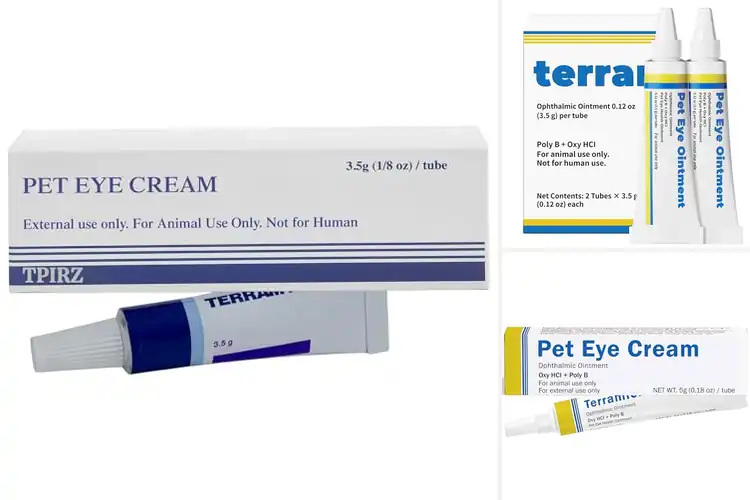 Detailed view of Best Veterinary Eye Creams: Top Picks for Healthy Pet Eyes